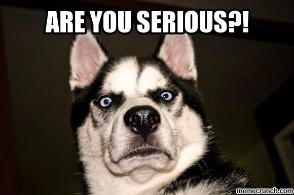 shocked-dog.jpg