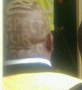sonko_head-1.gif