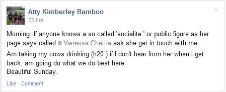 vanessa_exposed_2.jpg