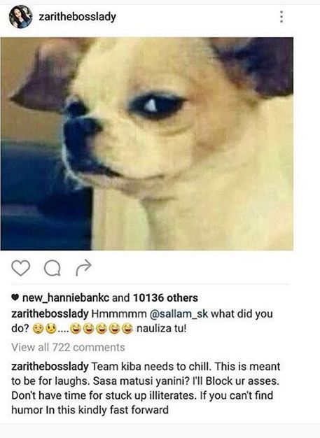 zari_dog.JPG