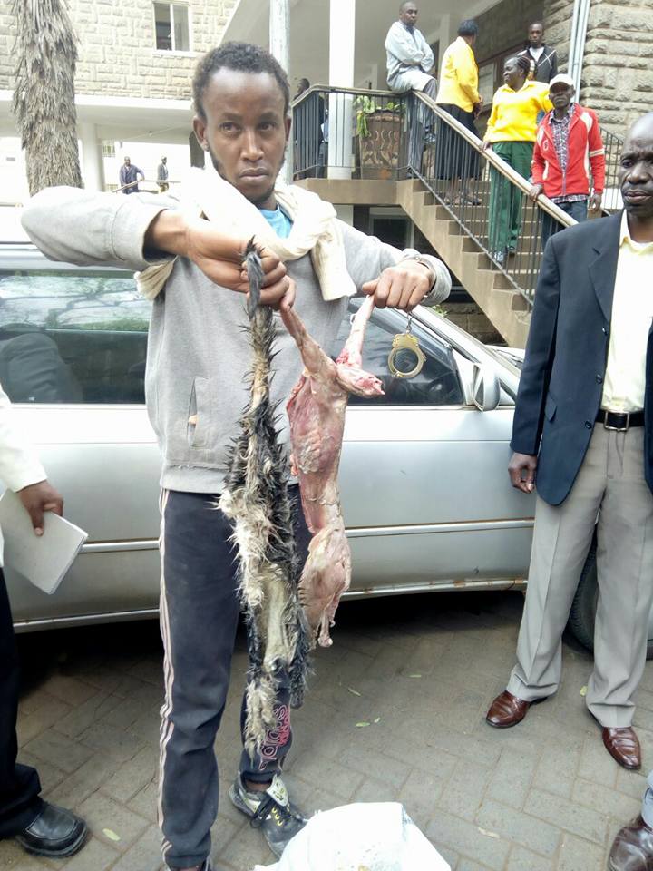 This man was arrested in Eastleigh, Nairobi skinning a cat