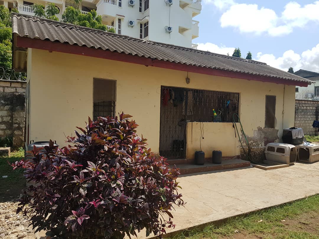 The first house Akothee rented