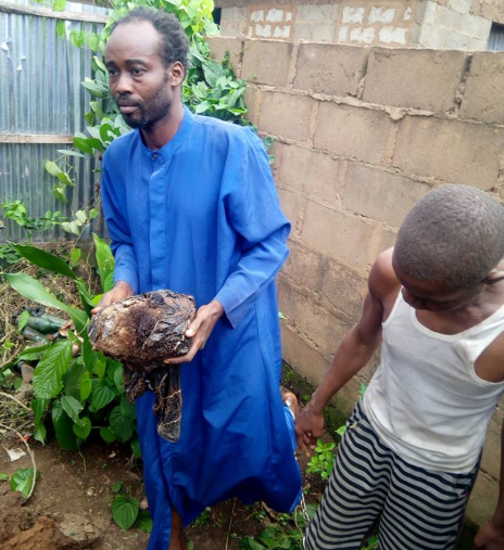 Prophet Olusola Akindele carried the woman's head. Prophet Ayodele Bamiduro (left) his accomplice helped him bury the woman's head and hands at the church premise