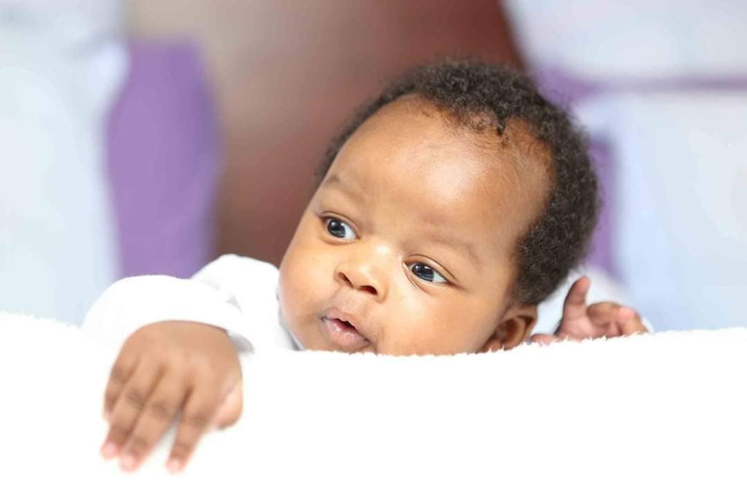 Baby Tabby Teko Osiany