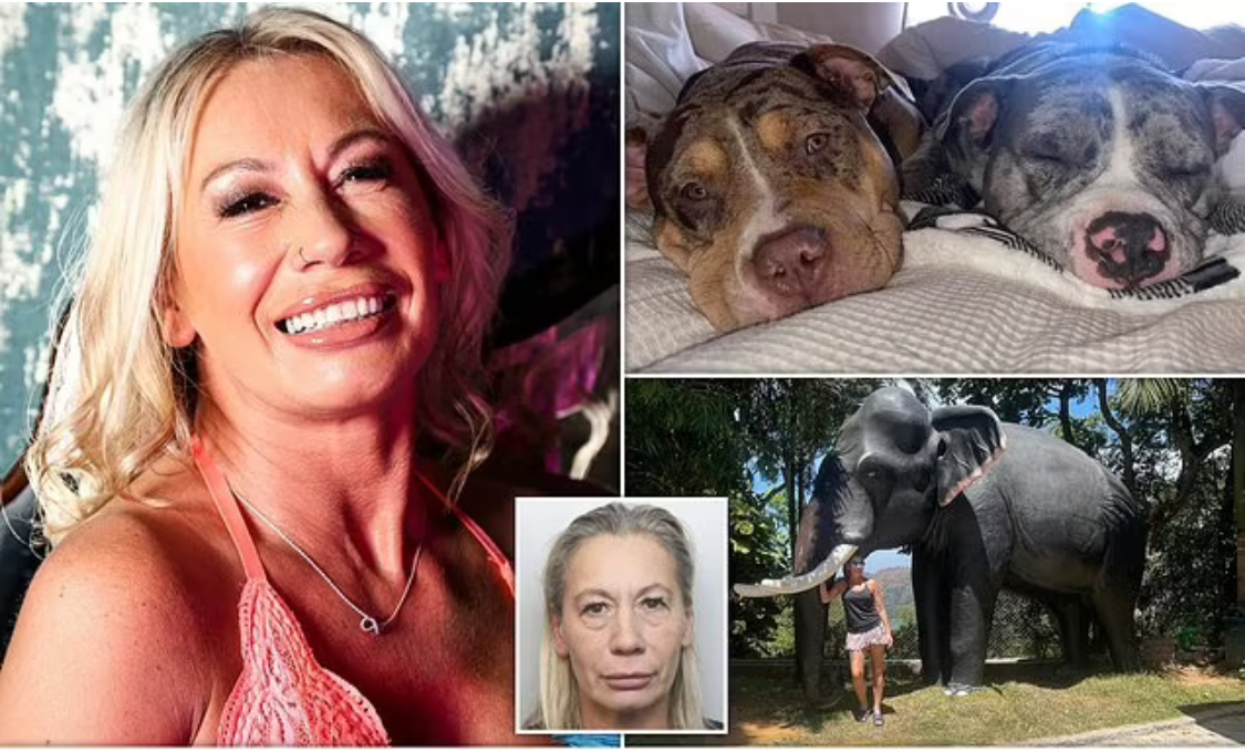 Daughter drained KSh 36 million from her mother to pamper her two pet dogs