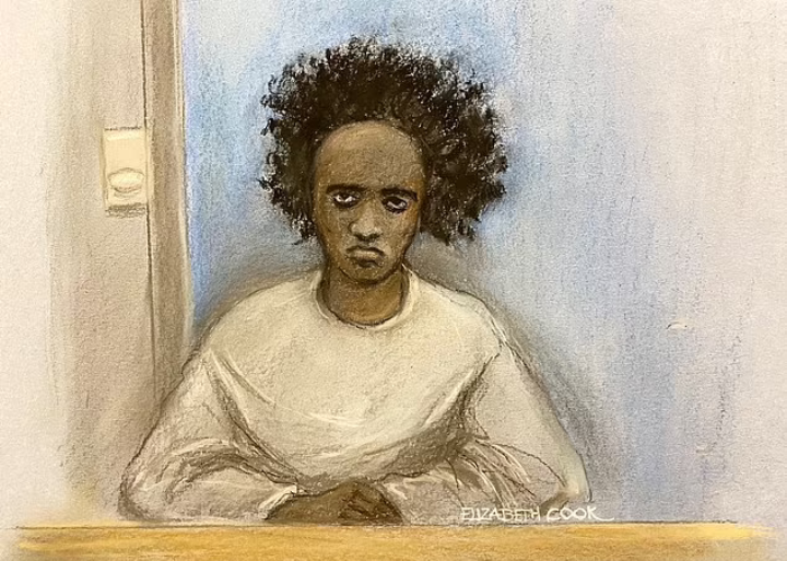 Teenage Boy Pleads Guilty to Killing Three Girls