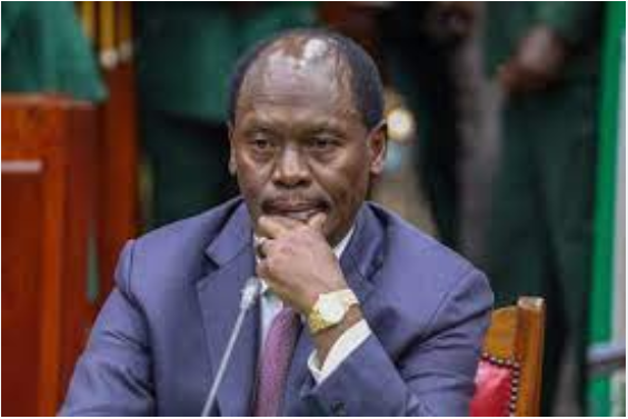 Kabogo Justifies ICT Experience During Vetting