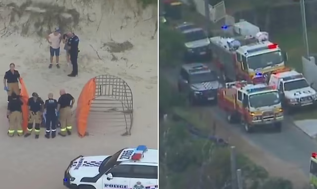 Teenage Girl Killed in Shark Attack