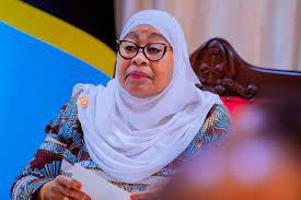 Kenya Risks Legal Action From Tanzania Over Online Abuse Of Suluhu