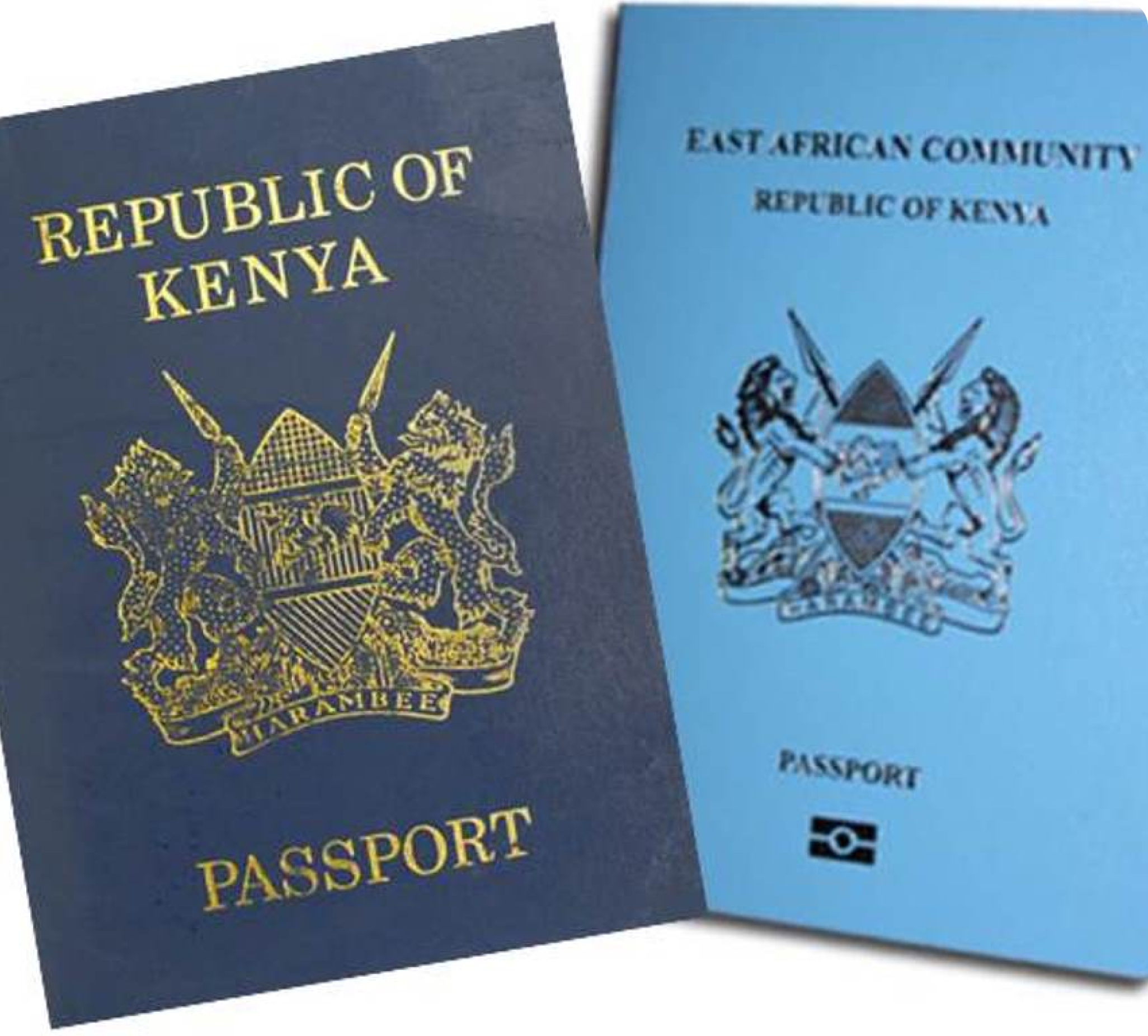 The New eCitizen Kenya : RBA, Business, Land and Payment Services Now Online