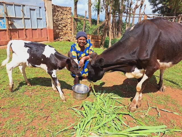 The Five Conversations Finance Bill 2026 Has Forced Kenyans to Have