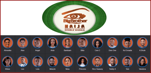 BBNaija: “Housemates Have Sex Daily… A couple Even Broke Bed”- SA Based Nigerian Claims