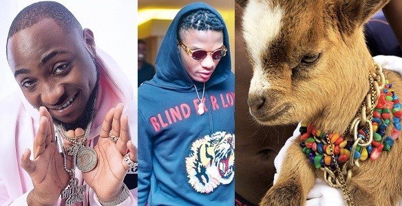 Davido Reacts to Wizkid’s New Pet (Photo)