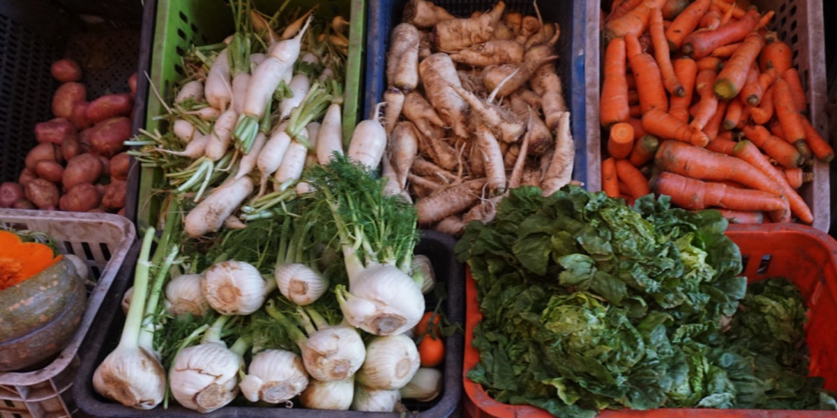 How an unemployed teacher in Kakamega turns fortunes around with an agribusiness project in poultry and organic veggies