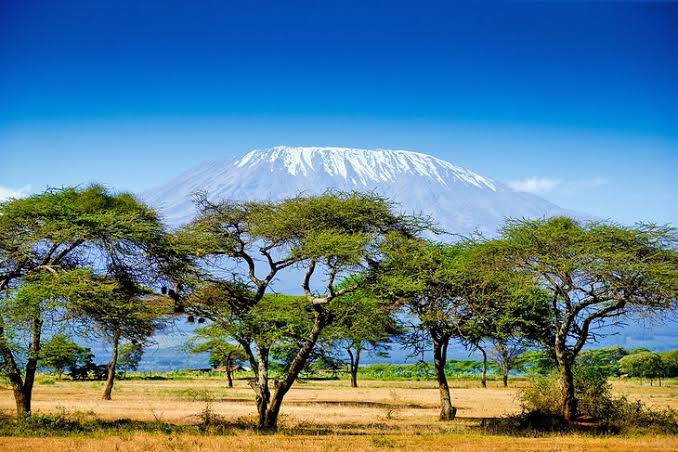 Nature Kenya: An Organisation set on Healing Eastern Africa