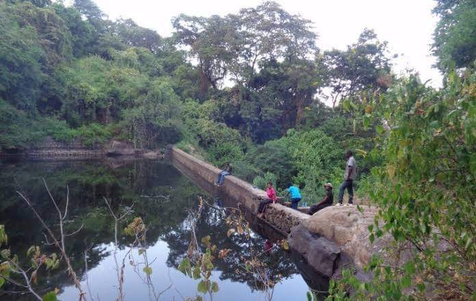 Avifauna Conservation: Kitui’s Hidden Gem for Ecotourism