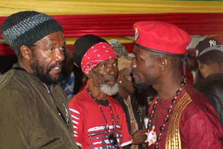 Bobi wine Rocks rebel salute festival