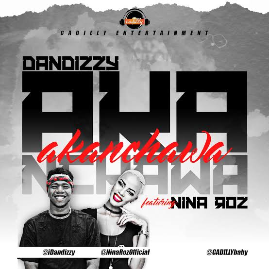 VIDEO: Nigeria’s Dandizzy features Nina roz on “Akanchawa”