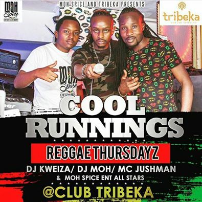 tribeka1