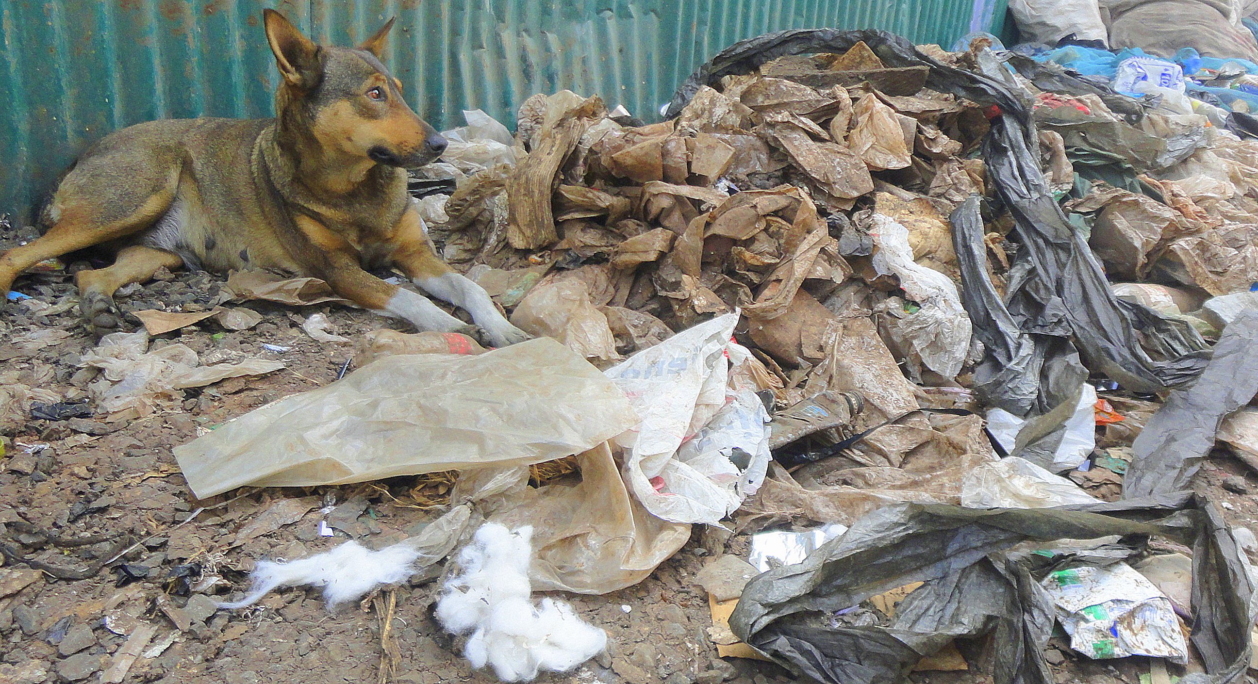 Popular Artiste Narrates how his own mother wrapped him in a paperbag and dumped him to be eaten by dogs