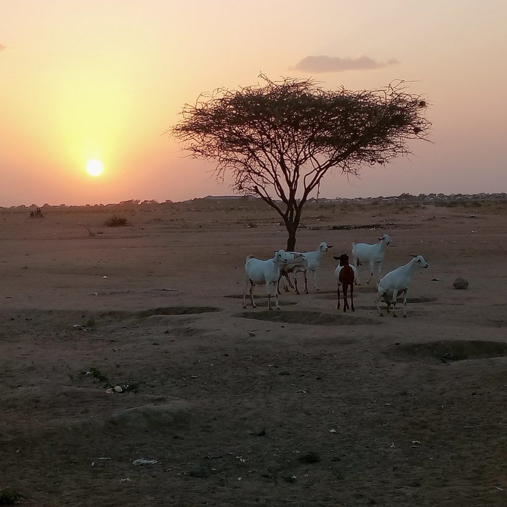 This is my Kenya
