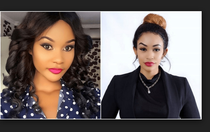 Zari Amchezea Mchezo Mchafu Hamisa