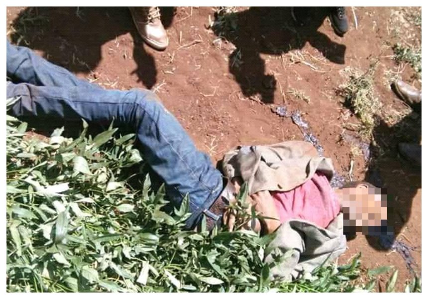 Heartbreaking photos of Meru University student leader shot dead by police in cold blood in a sweet potato farm