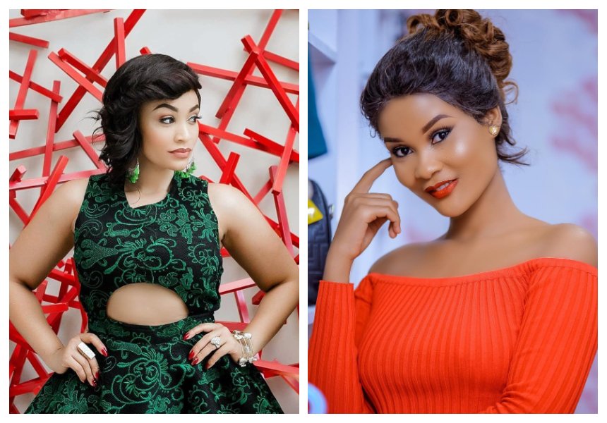 Why Zari Hassan recently referred to Hamisa Mobetto as a witch!  (Photo)
