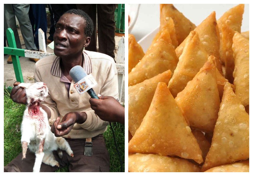 A sad day for Nakuru cats! Man convicted for slaughtering cats gets a reduced prison sentence 