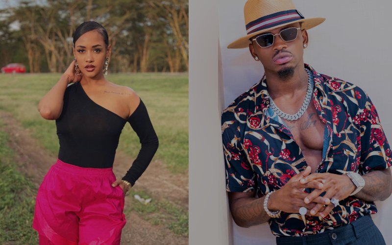 Tanasha fires at Diamond, he unapologetically claps back