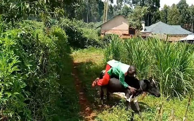 Ezekiel Mutua and his people need to leave Embarambamba alone (NEW MUSIC VIDEO)