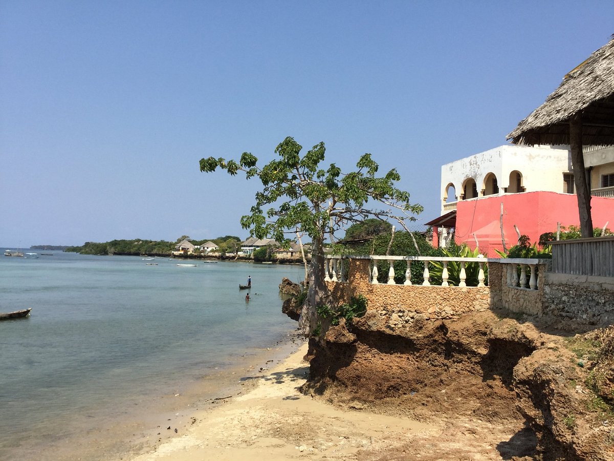 Facing off with Sharks: The Fearless Art of Spear Fishing on Wasini Island