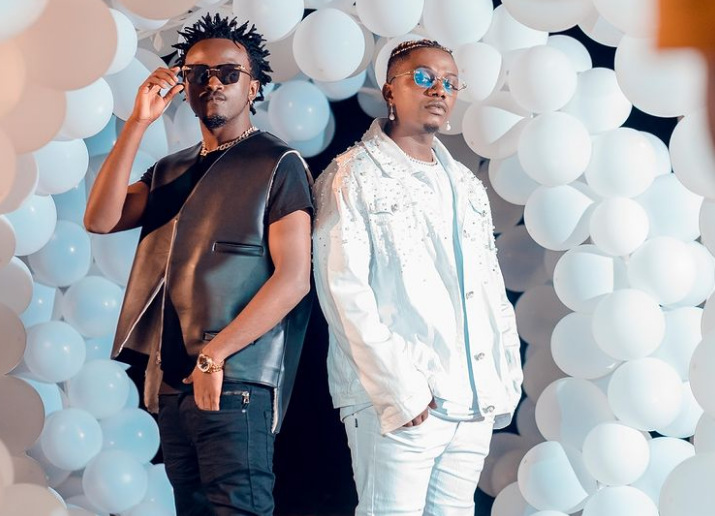 Tanzanians Are Winning Over Kenyans In Showbiz