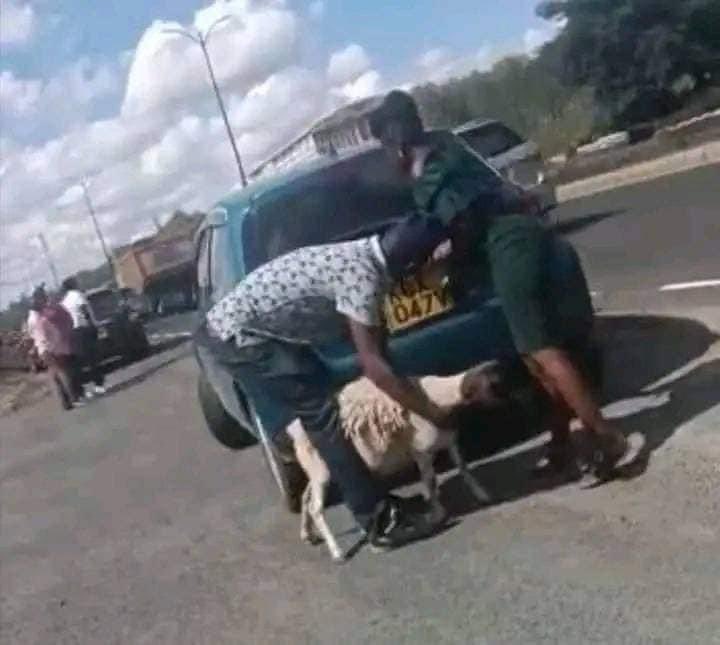 Internet uncovers identity of man who stole from Kenyatta farm