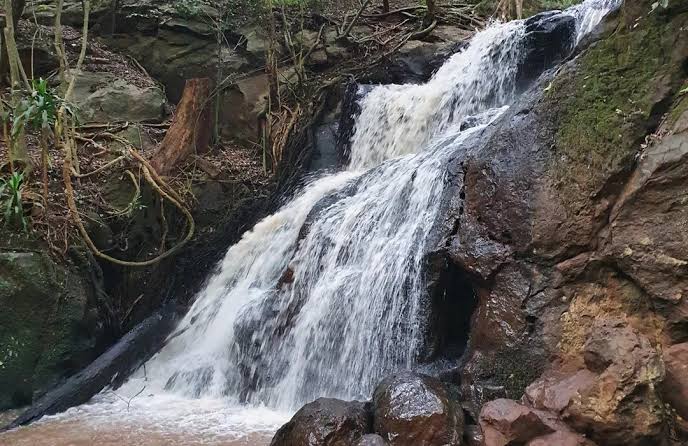 Half of Nairobi City residents are yet to sample the Magic of Karura Forest