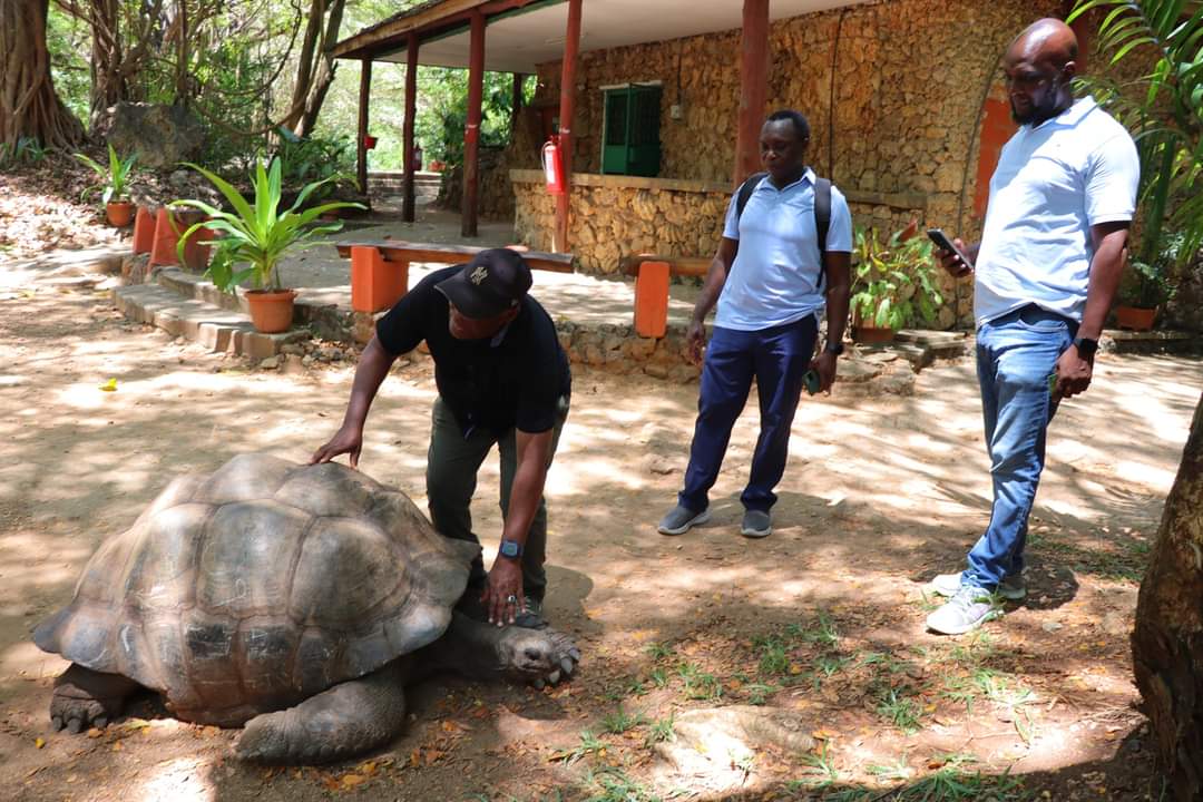 Haller Park, Mombasa: Barren Quarry turned into a Lush Conservatory Park