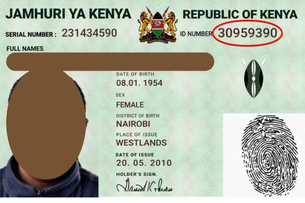 The Key to Adulting: Five Reasons You Need that ID Card ASAP
