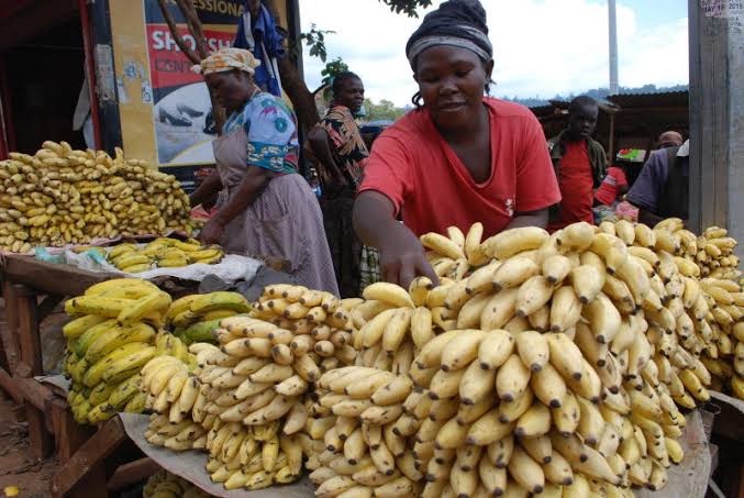 Will This Finance Bill Finally Respect the Kenyan Hustle?