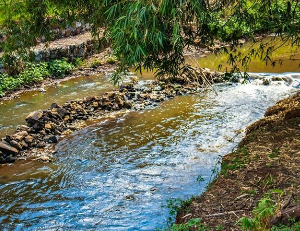 Kangemi and Dagoretti Communities and Nairobi Rivers Commission Reach Consensus on  Collaborative NRRP Implementation