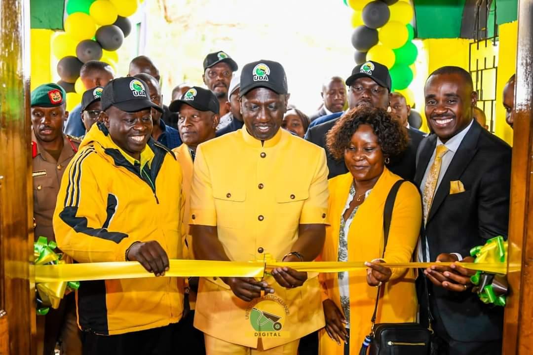 UDA Grassroots Elections in Nyanza Signals a New Political Landscape