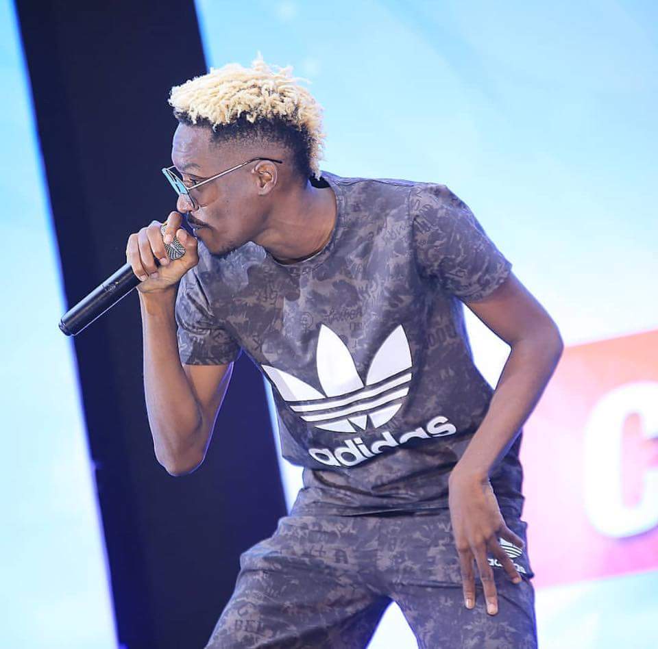 Why APASS wrote Didadada.