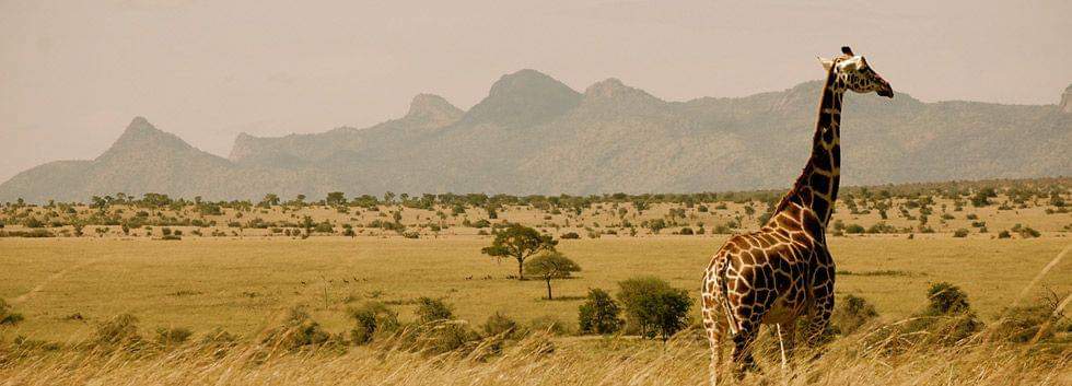 Uganda Selected on National Geographic List of 19 Places To headline 2019