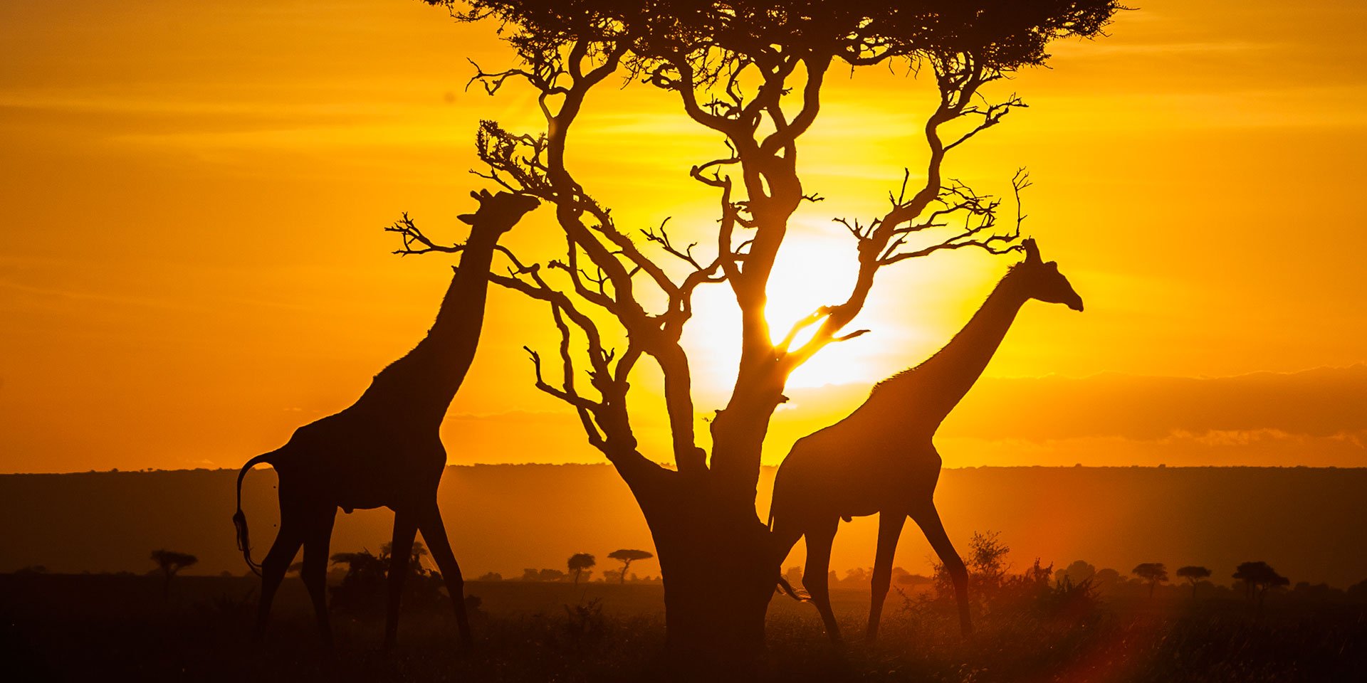 6 Destination Locations Ghanaians Can Visit Visa Free