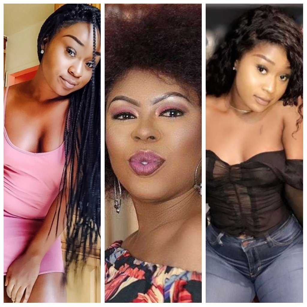 Efia Odo, Other Social Media Users Lash Out On Afia Schwarzenegger Over Owusu Bempah’s Son